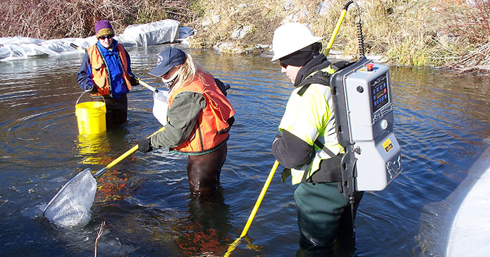 Environmental/Permitting